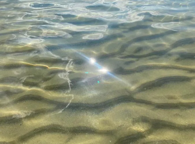 Appartement Aphrodite Gardens D208,