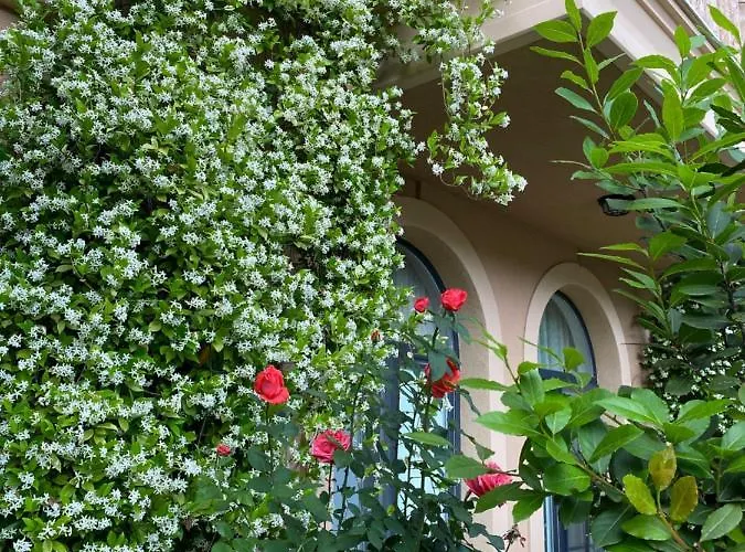 Aphrodite Gardens D208, Appartement *