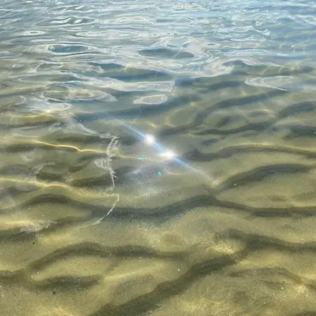 Lejlighed Aphrodite Gardens D208,